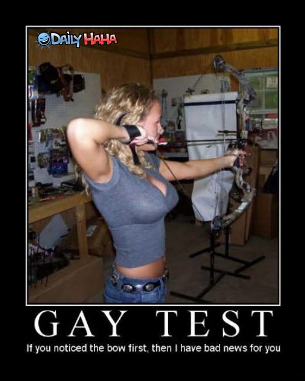 bow_arrow_gay_test.jpg