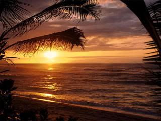 GOOD NIGHT Pictures, Images and Photos