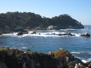 Carmel Point Lobos