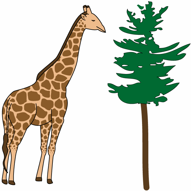 Giraffe Gif