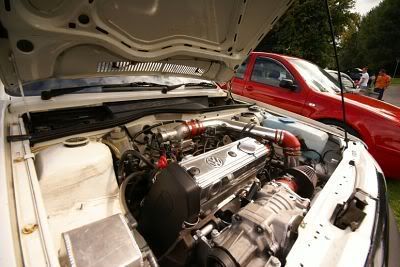my_engine_bay_opt.jpg