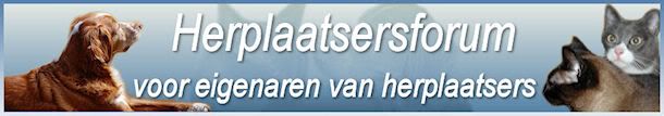 HERPLAATSERS FORUM