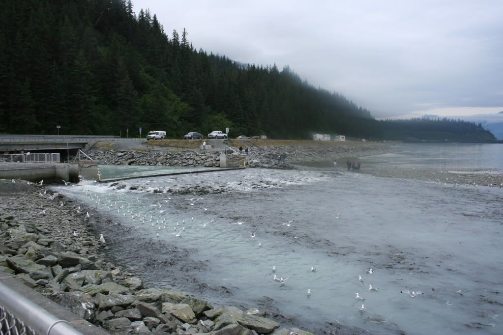 Alaska2009-08-13054.jpg