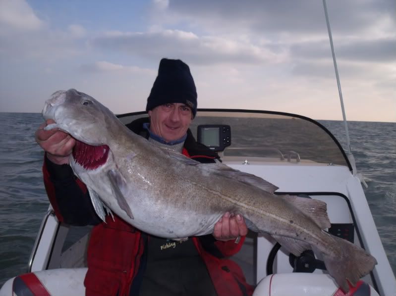 Largest Cod