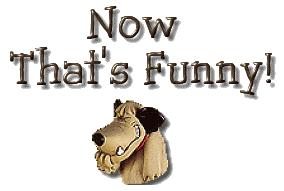 funny.gif funny image by TYREESESAMPSON3