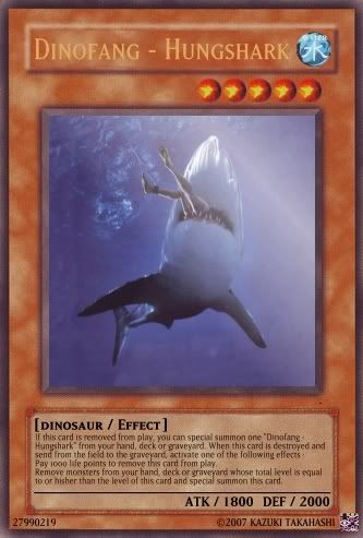 d-hungshark.jpg