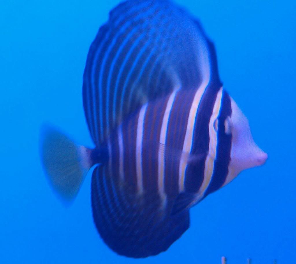 IMAG0505-1.jpg