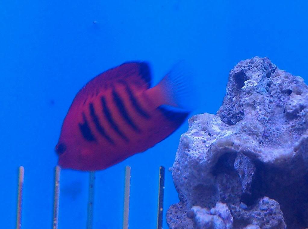 IMAG0508-1.jpg