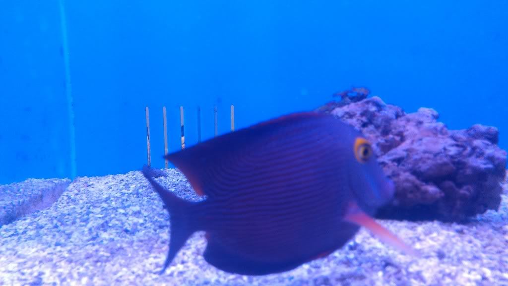 IMAG0509.jpg