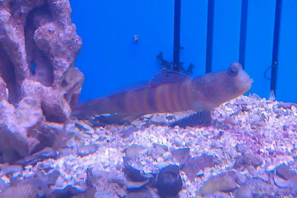 IMAG0517-1.jpg
