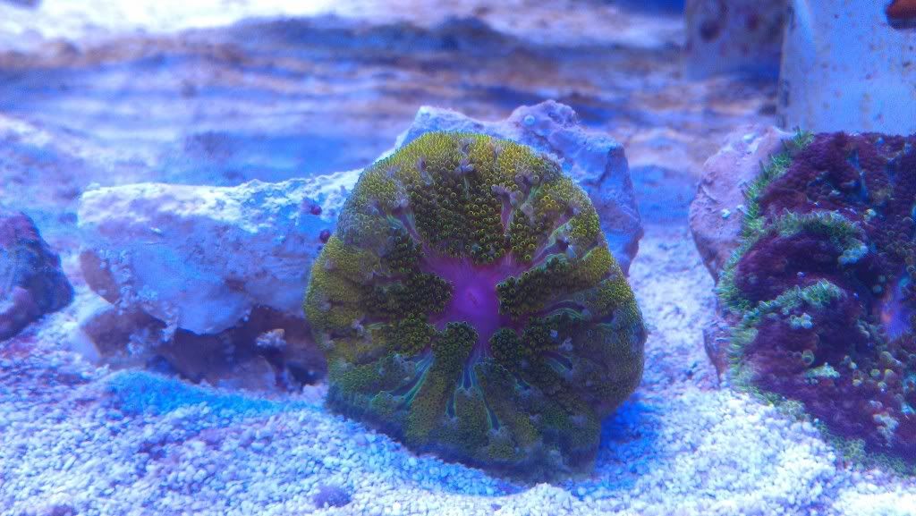 IMAG0522.jpg