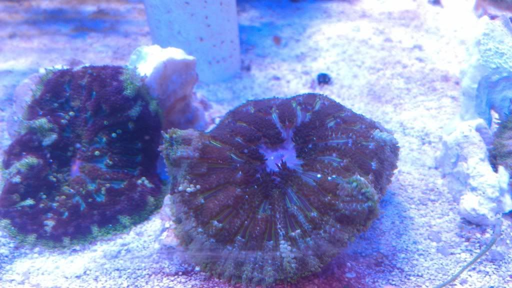 IMAG0523.jpg