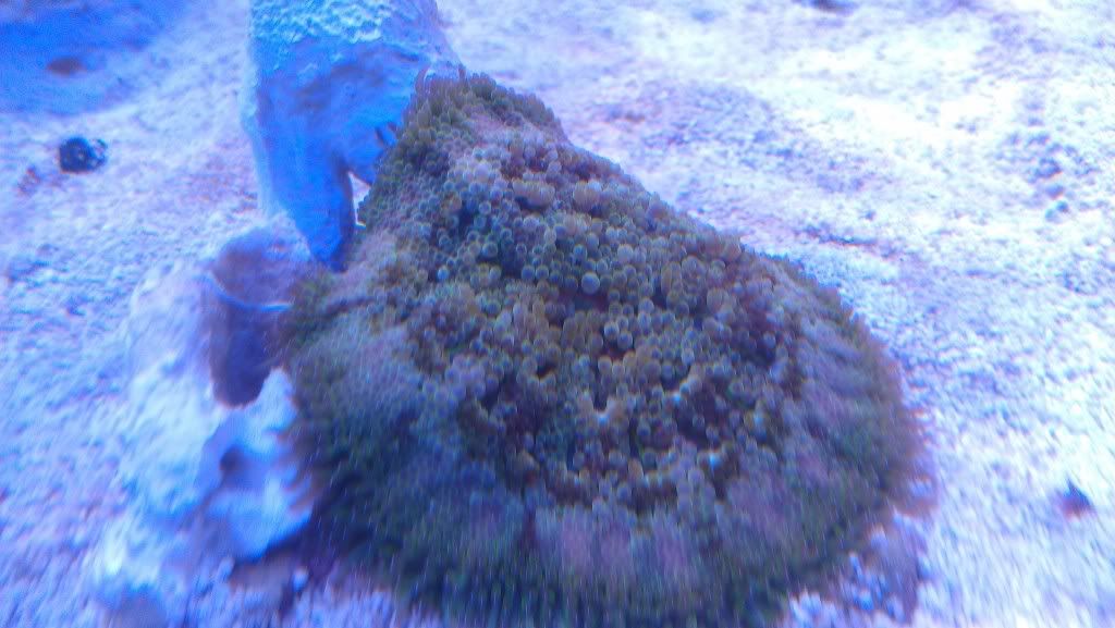 IMAG0524.jpg