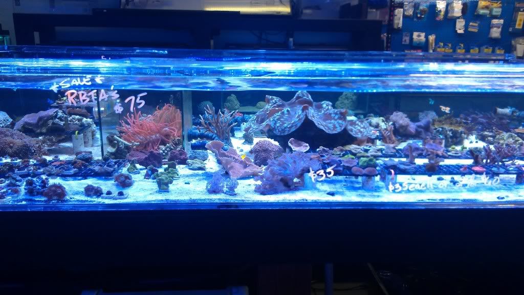 IMAG0536.jpg