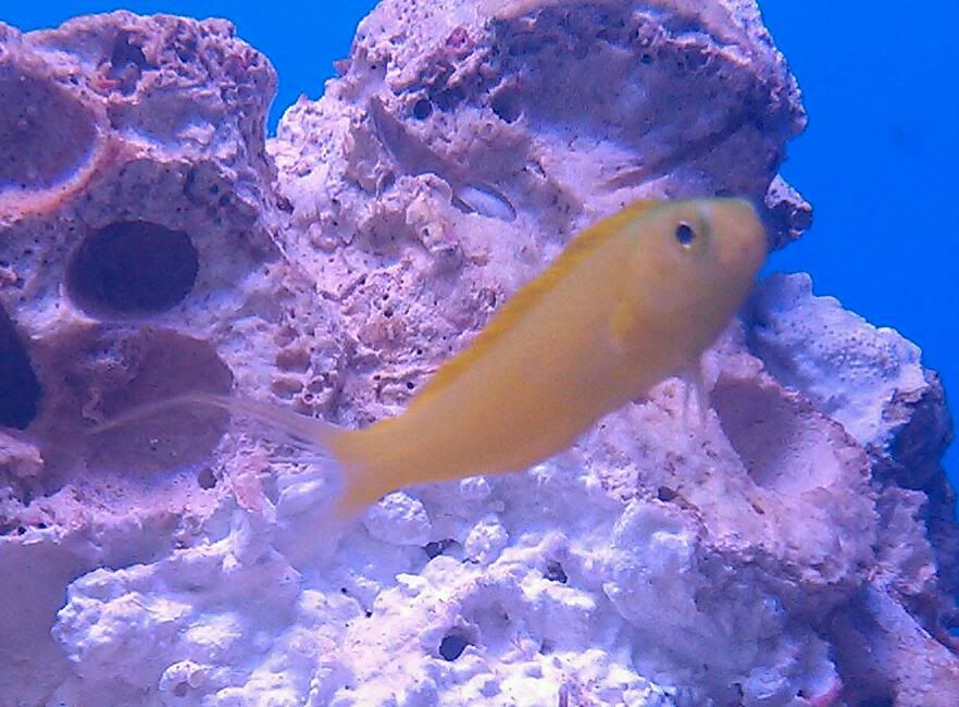 IMAG0605-1.jpg