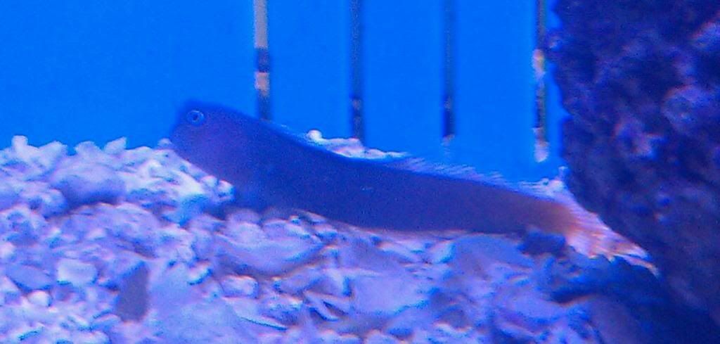 IMAG0607-1.jpg