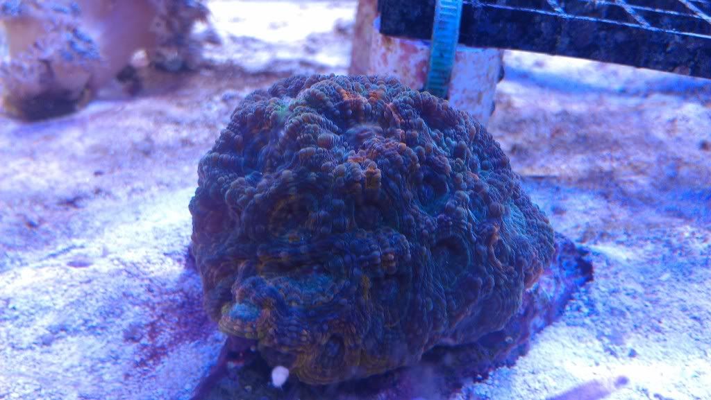 IMAG0658.jpg