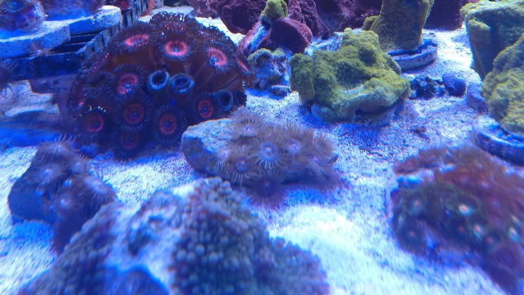 IMAG0660.jpg