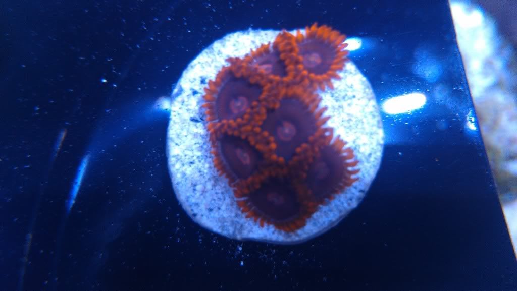 IMAG0666.jpg