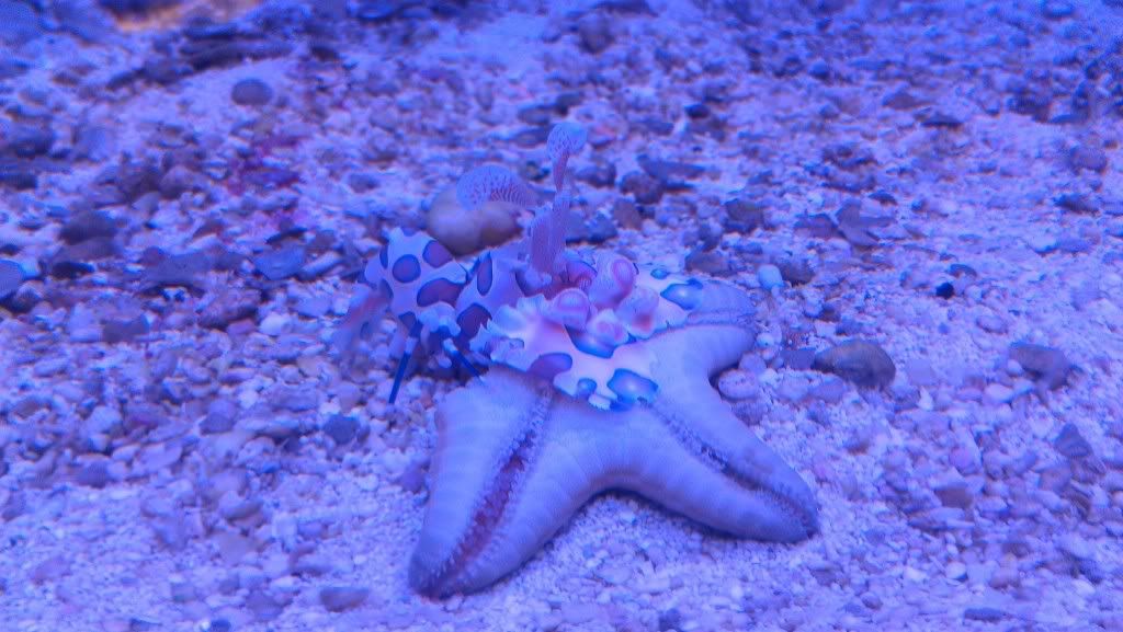 IMAG0668.jpg