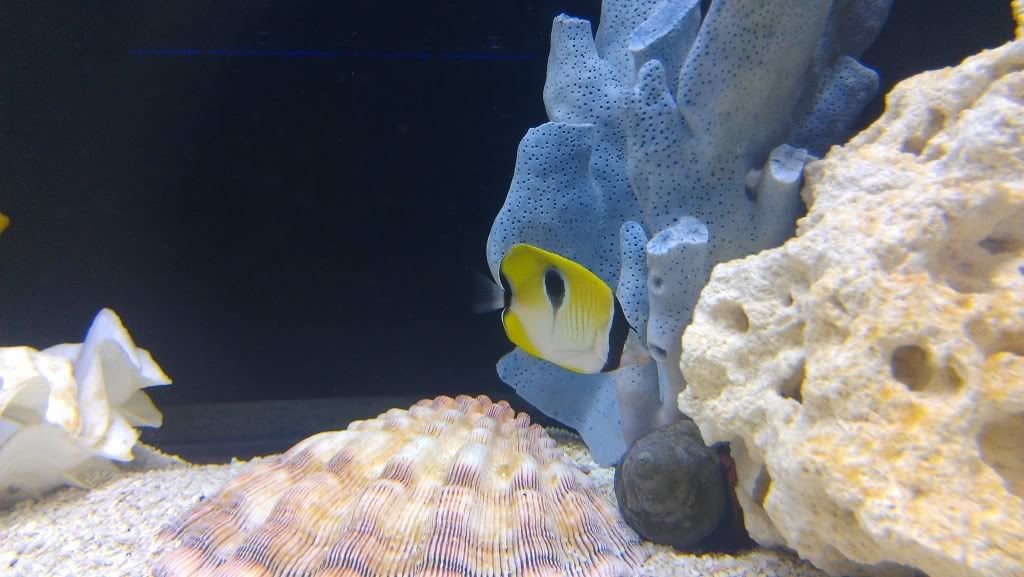 IMAG0669.jpg