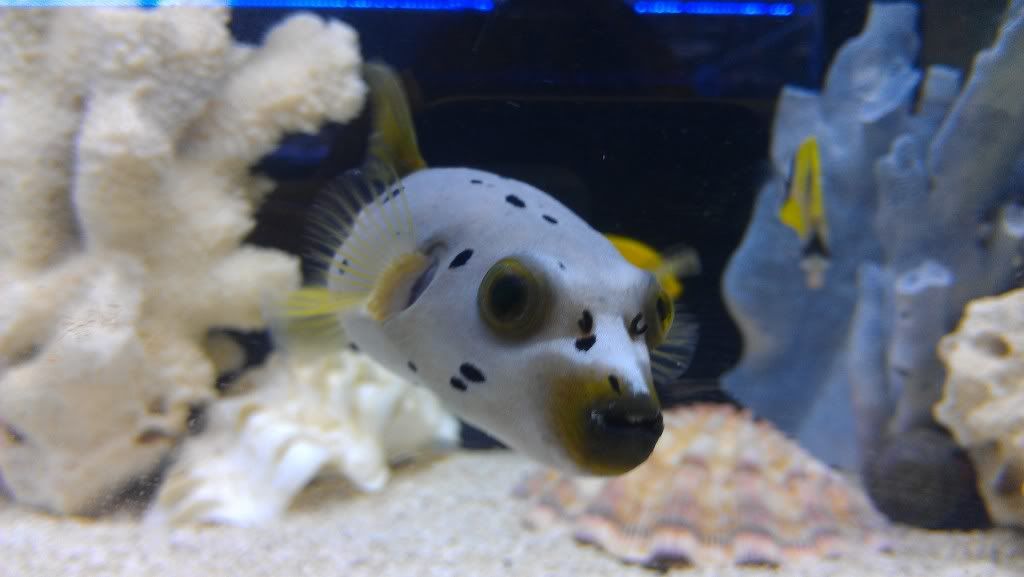 IMAG0670.jpg