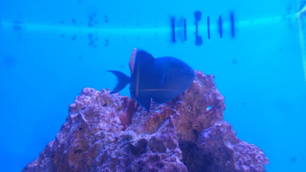 IMAG0673.jpg