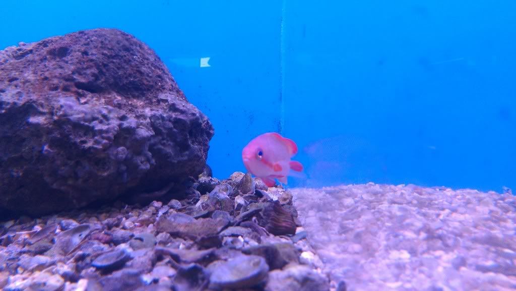 IMAG0674.jpg