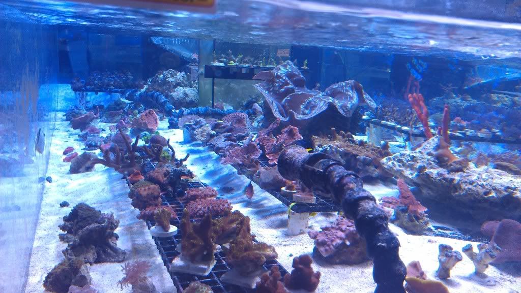 IMAG0802.jpg