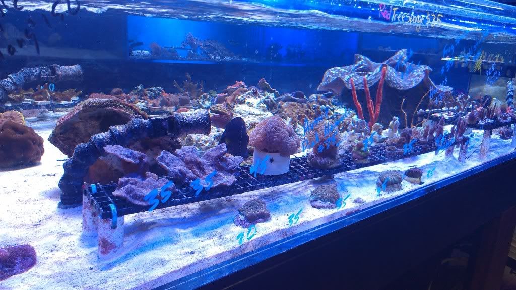IMAG0803.jpg