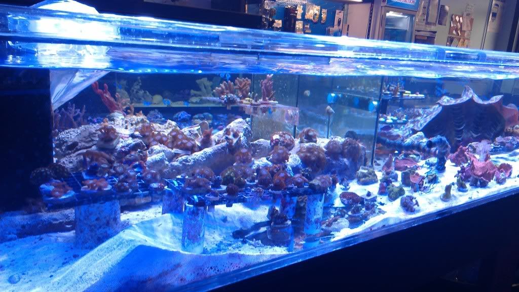 IMAG0805.jpg