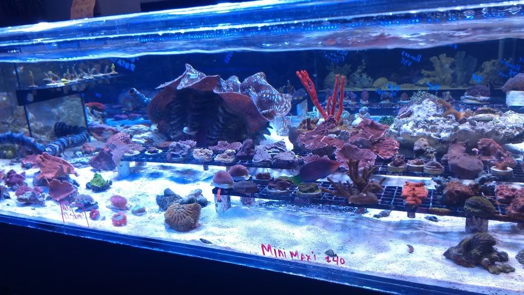 IMAG0806.jpg