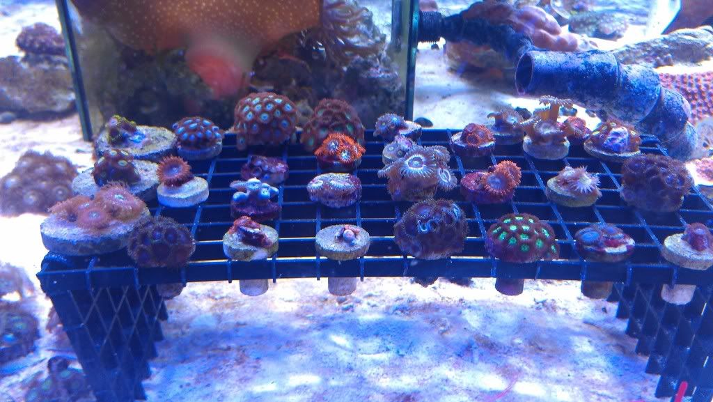 IMAG0842.jpg