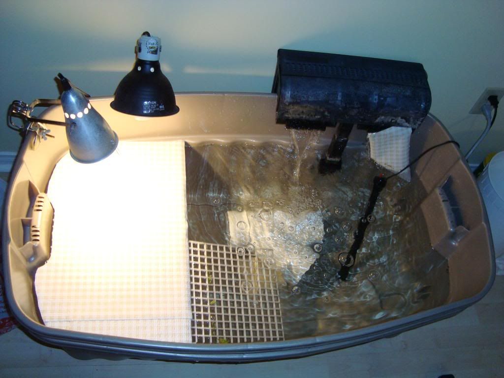 View topic new rubbermaid bin setup