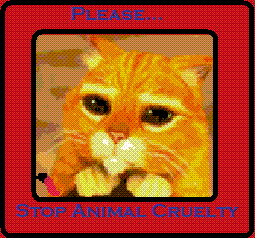 Prevent Animal Cruelty Pictures, Images and Photos