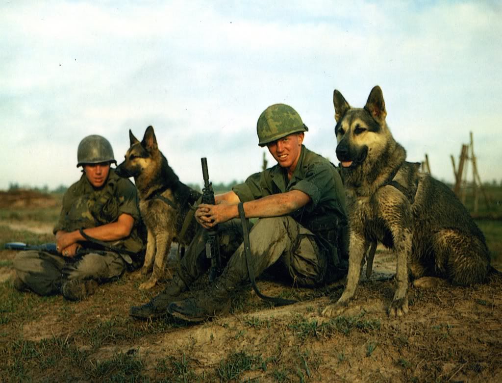 Wardogs004.jpg