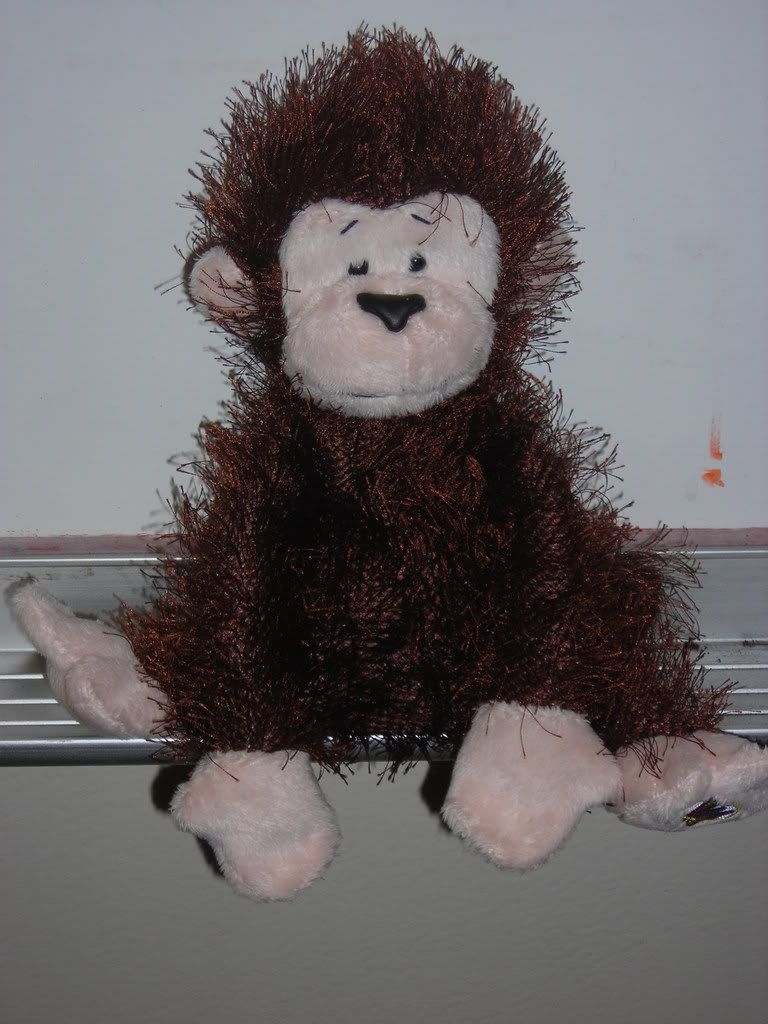 Megabyte our Webkinz monkey