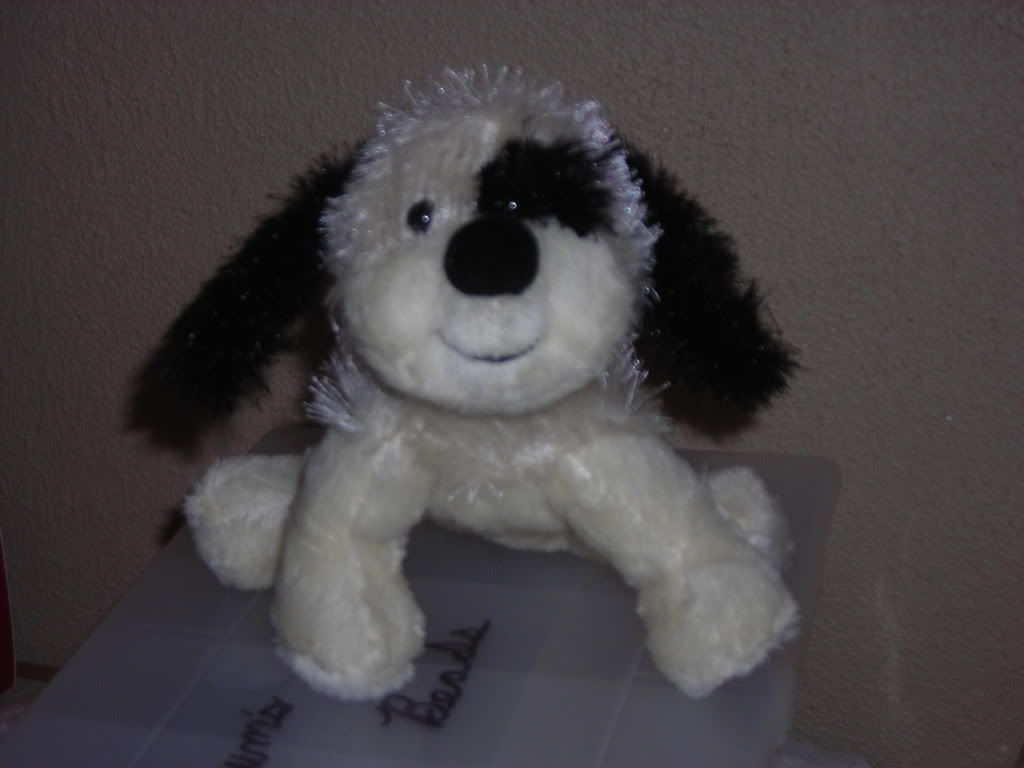 Browser our Webkinz puppy