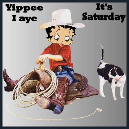 yippeesat/k24 Pictures, Images and Photos