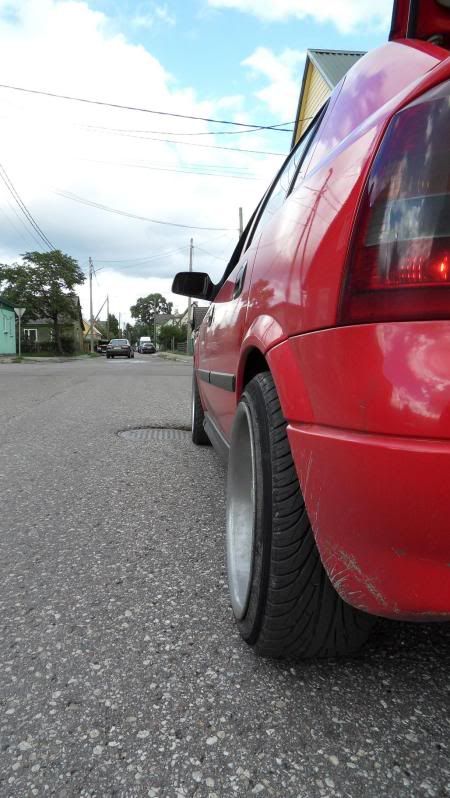 Pilt