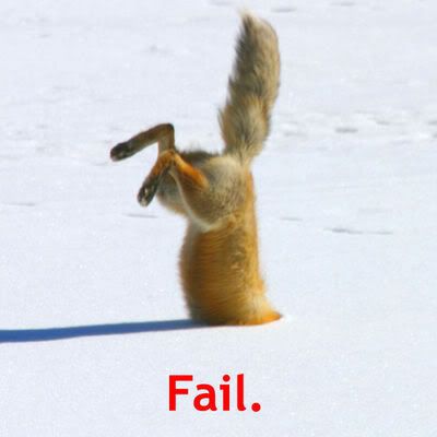 epic fail squirrel