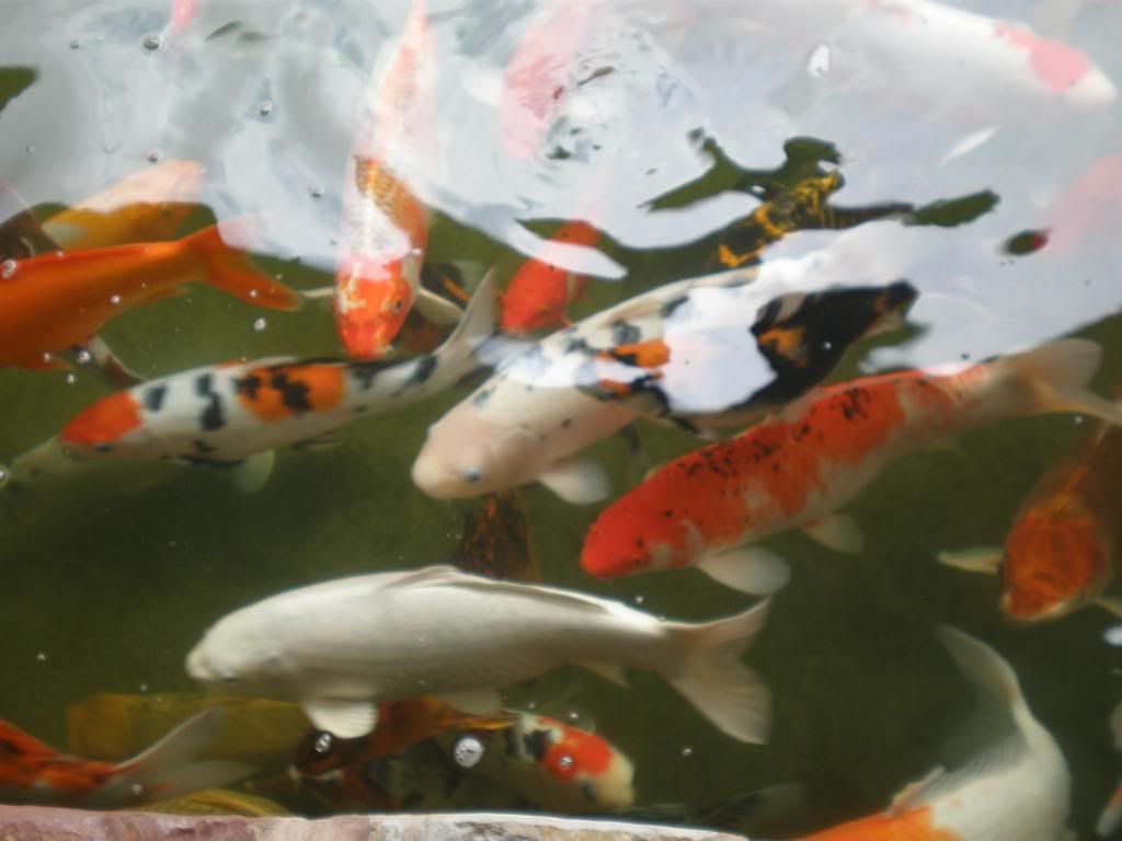 云顶一日游~