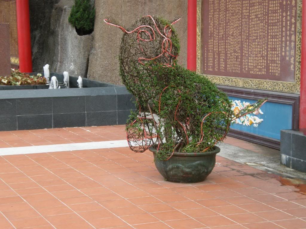 云顶一日游~