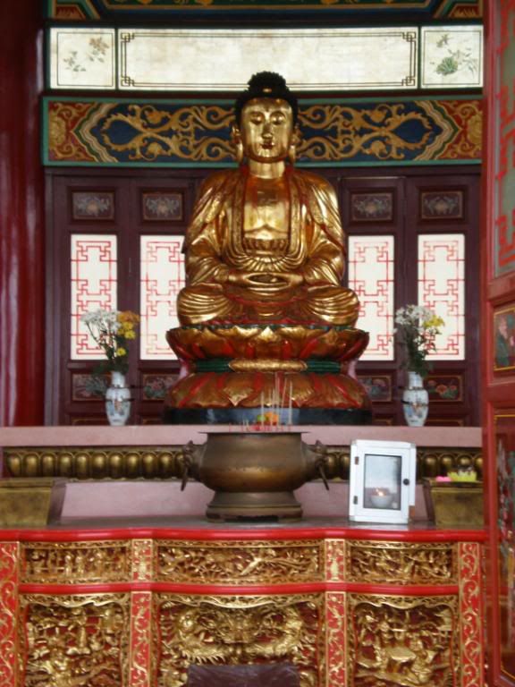 云顶一日游~