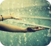 raining Pictures, Images and Photos
