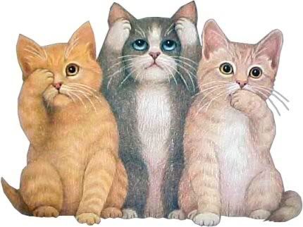 gatos Pictures, Images and Photos