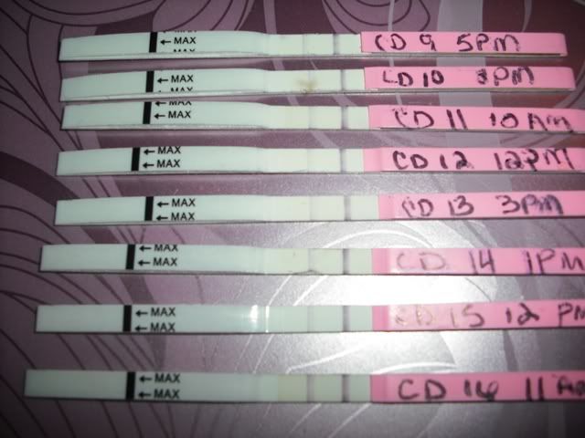 Opk Progression Pics