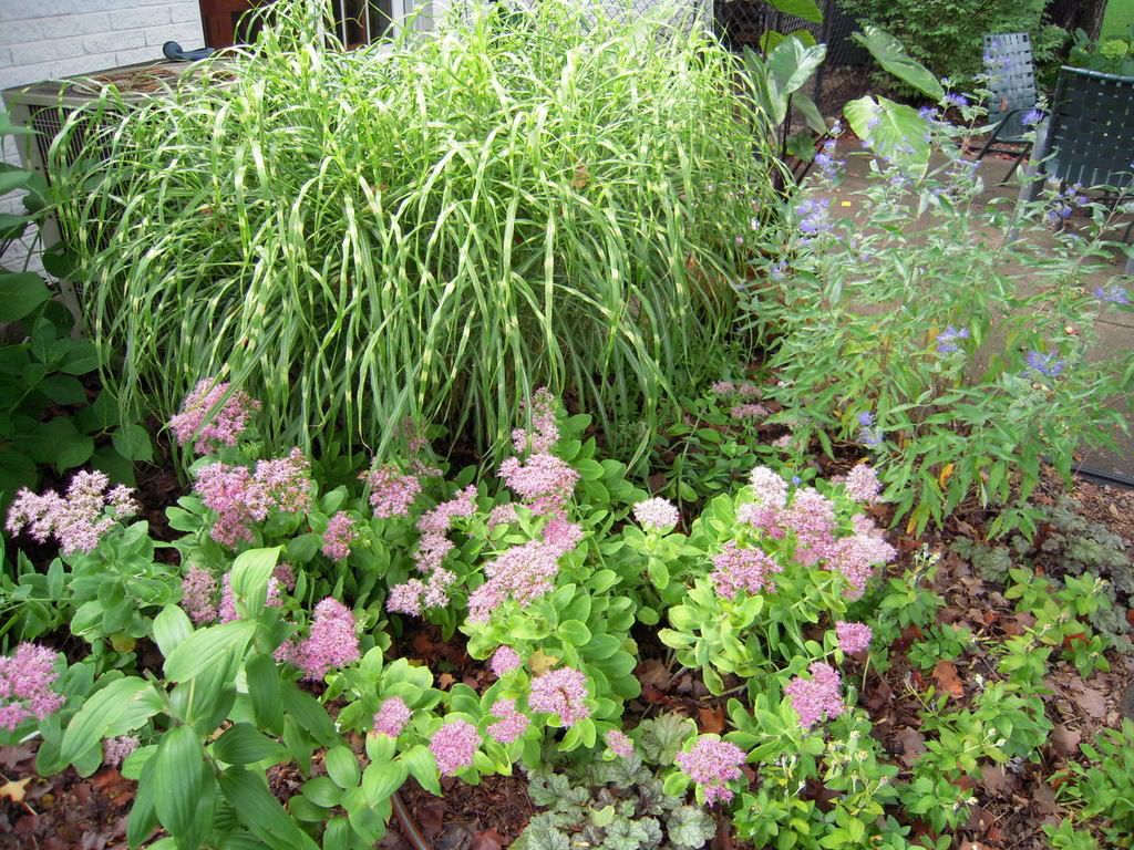 September 2008 photo DSCN0033.jpg