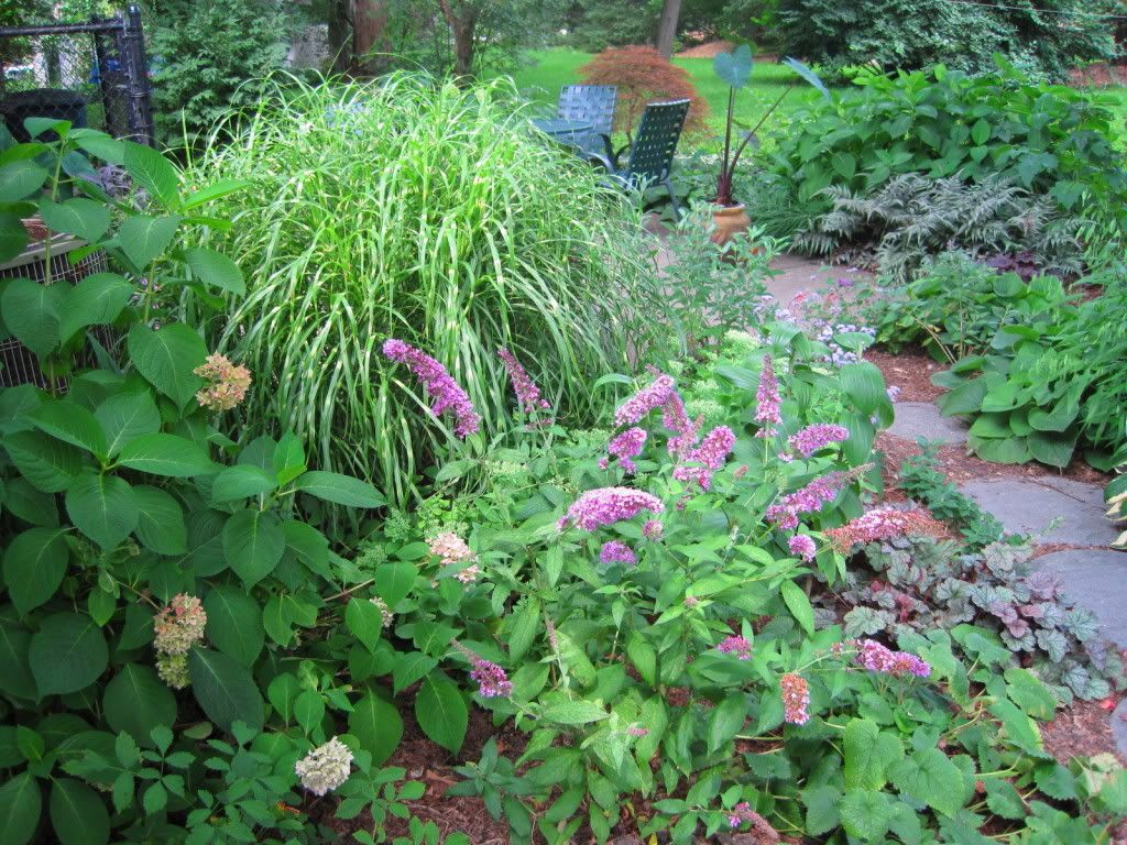 August 2010 photo IMG_0085.jpg