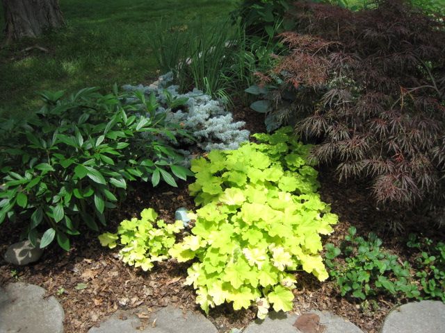  photo IMG_0448_zpsdd15bb75.jpg